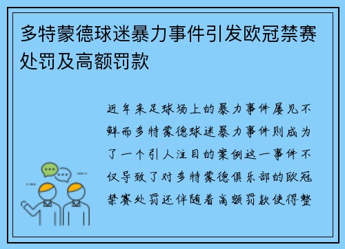 多特蒙德球迷暴力事件引发欧冠禁赛处罚及高额罚款