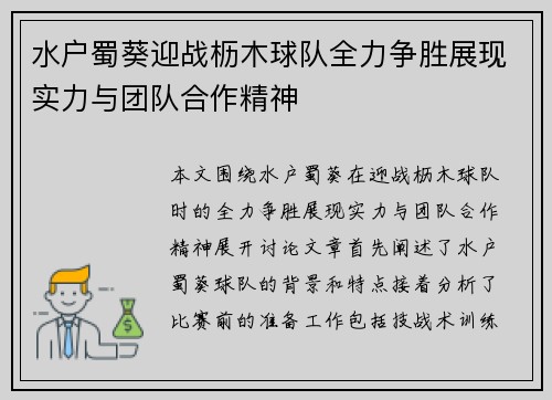 水户蜀葵迎战枥木球队全力争胜展现实力与团队合作精神
