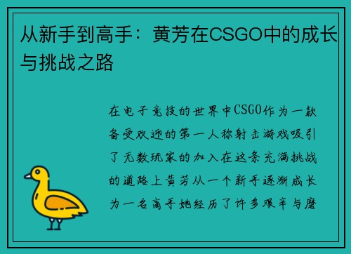 从新手到高手：黄芳在CSGO中的成长与挑战之路